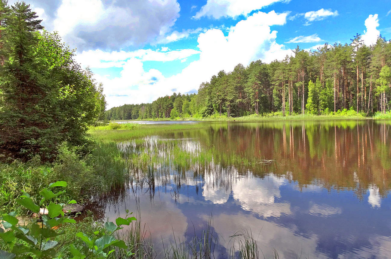 Тишина и весенняя красота