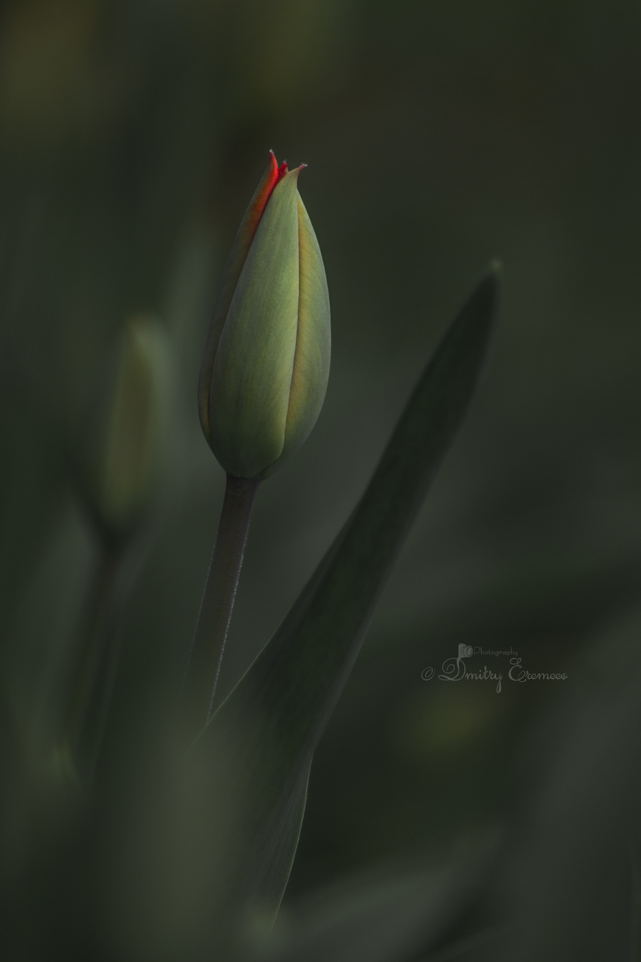 Уже скоро...