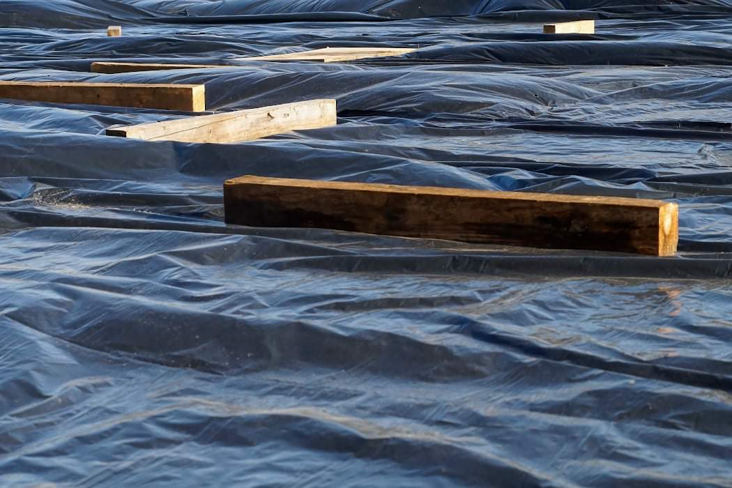 флешмоб на тему «Свежий взгляд на обыденность» (№ 10).