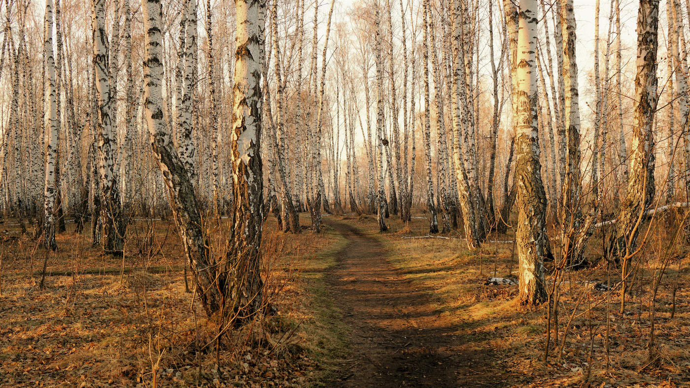 Ранней весны раннее утро