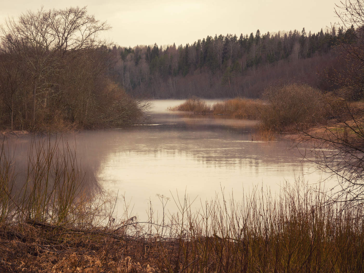 Жизнь вокруг