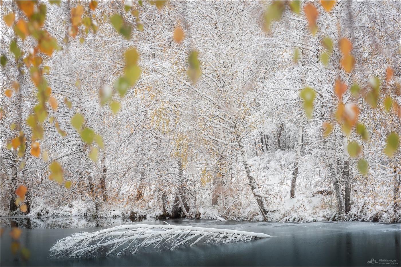 Иллюзия осени