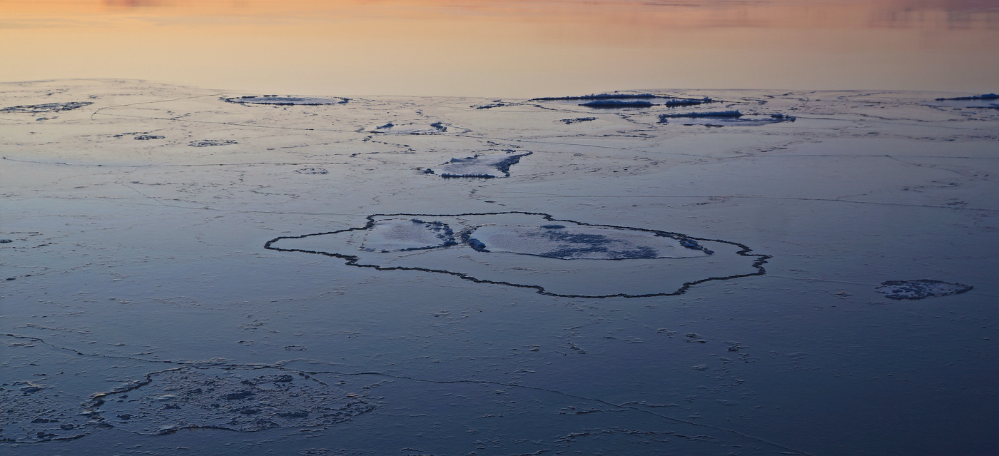«Свежий взгляд на обыденность»