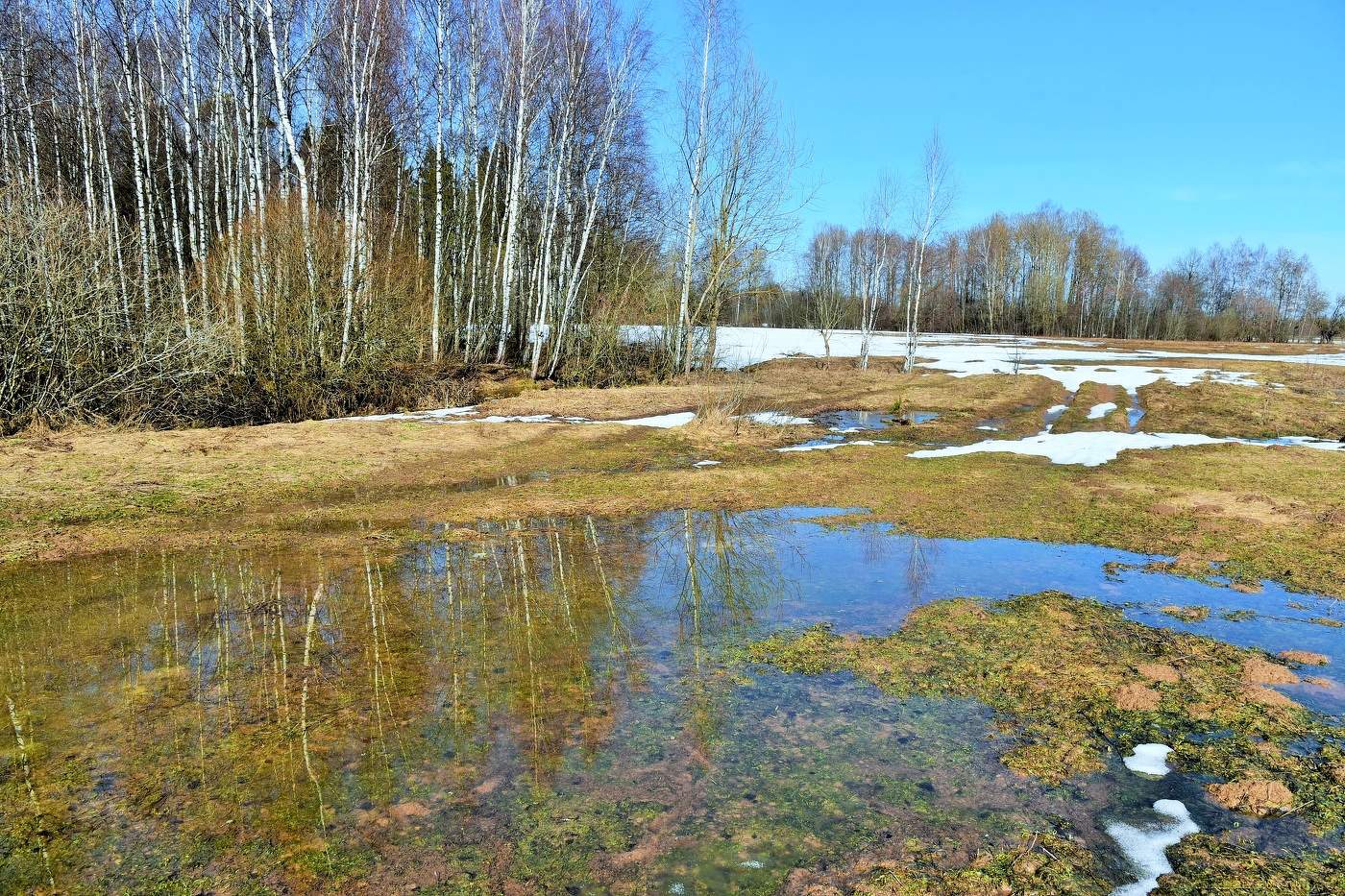 Апрель - вторые тридцать дней весны ...