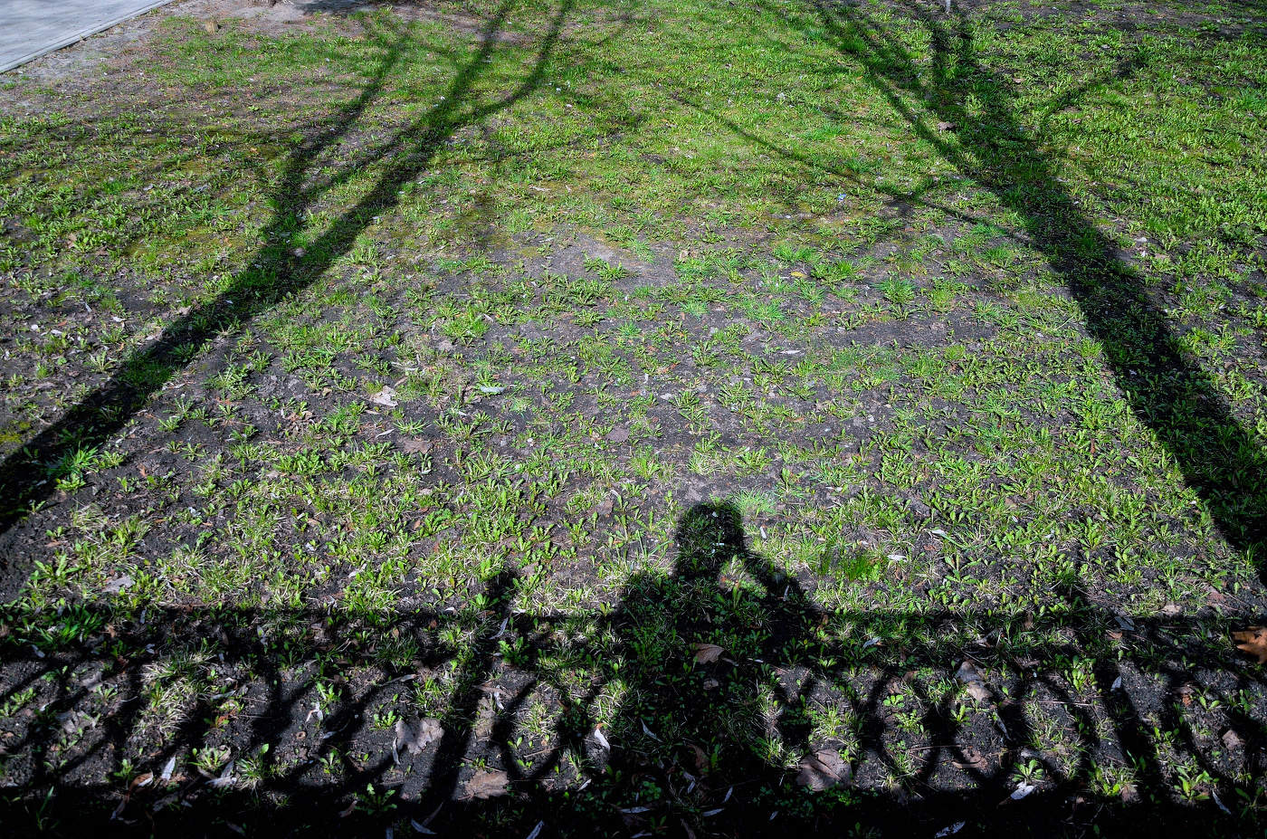 Апрельские тени