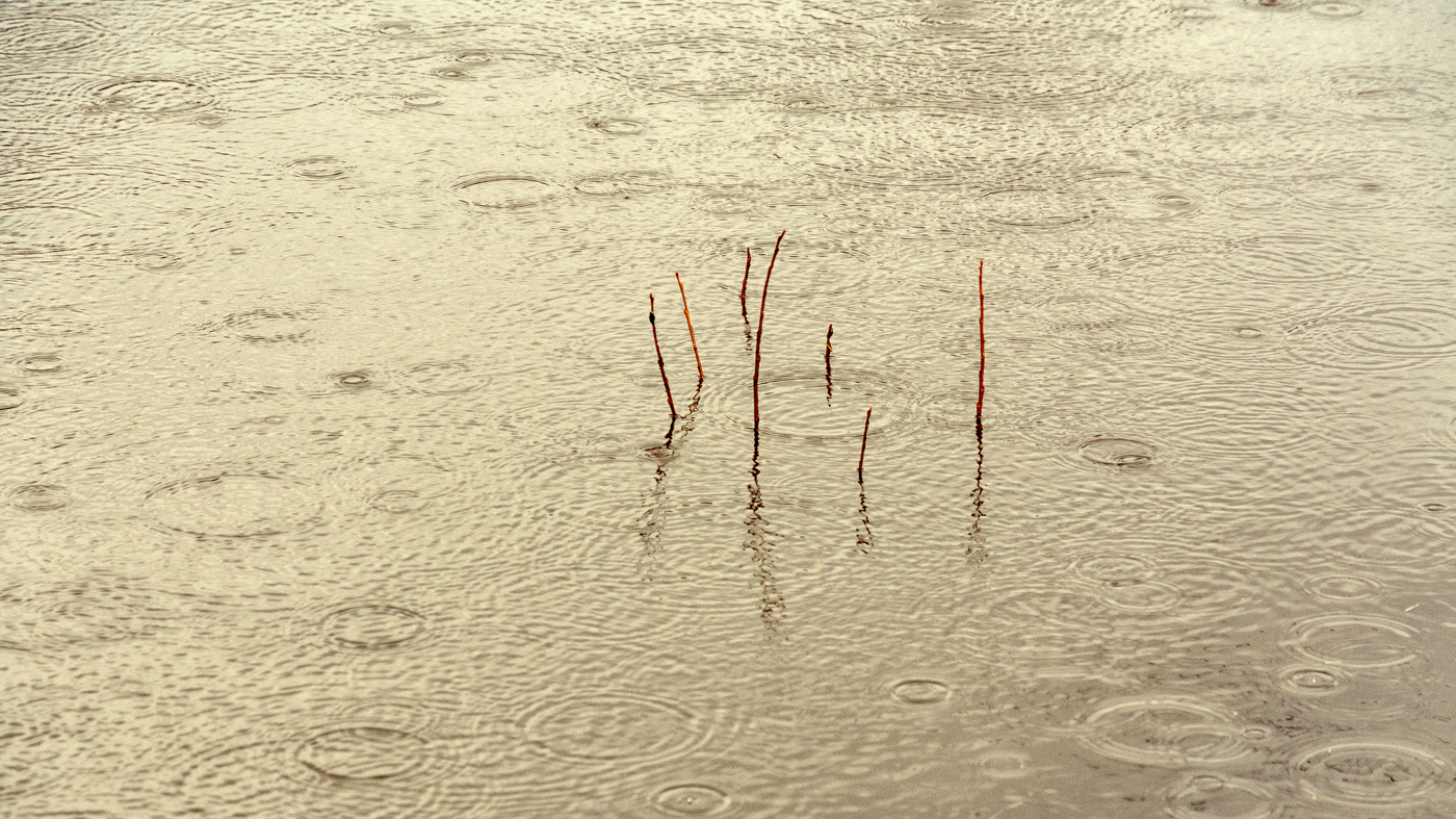 Жизнь вокруг