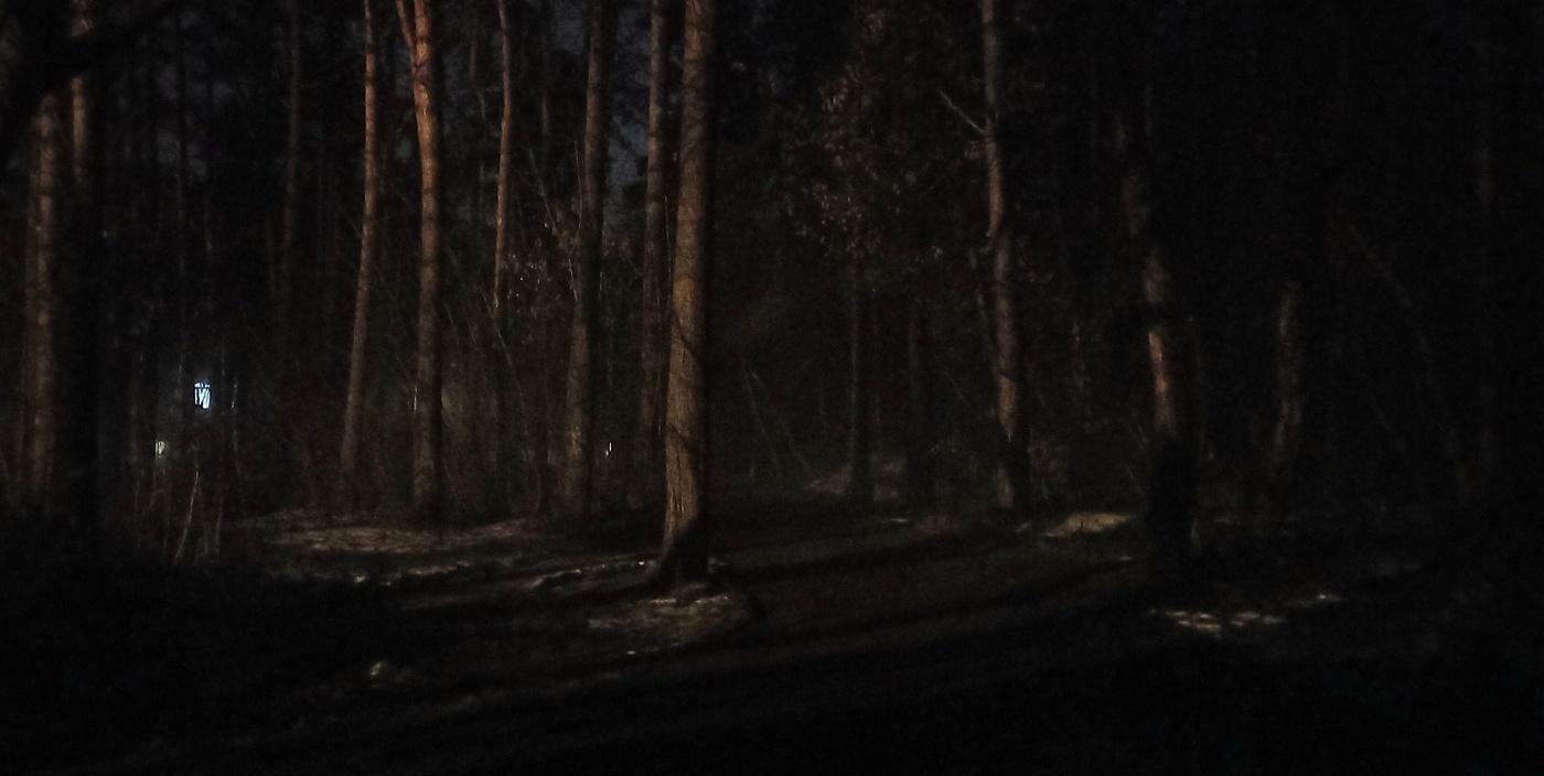 в тёмном тёмном лесу...