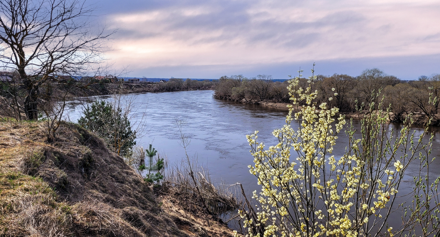 Весна над р. Угра.