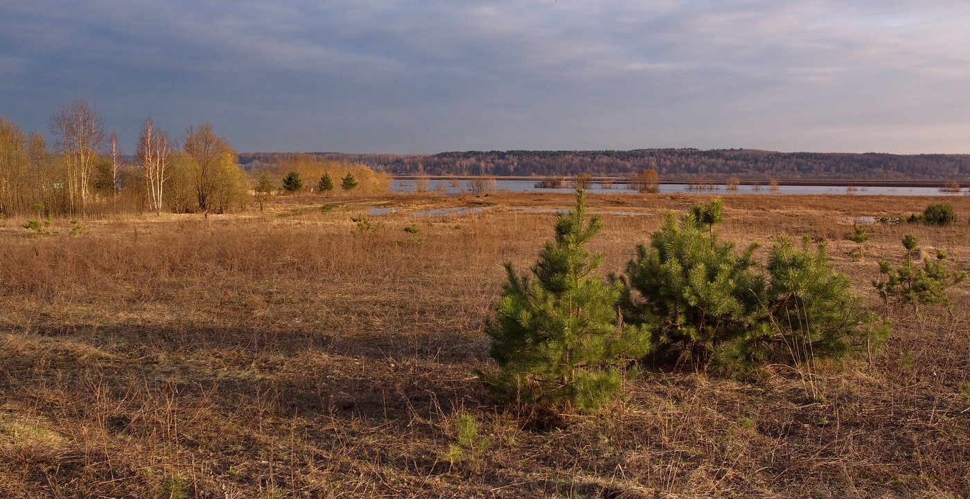 Весенний сюжет