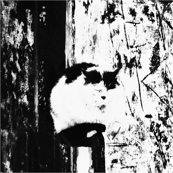 флешмоб на тему «Свежий взгляд на обыденность» (№ 10).