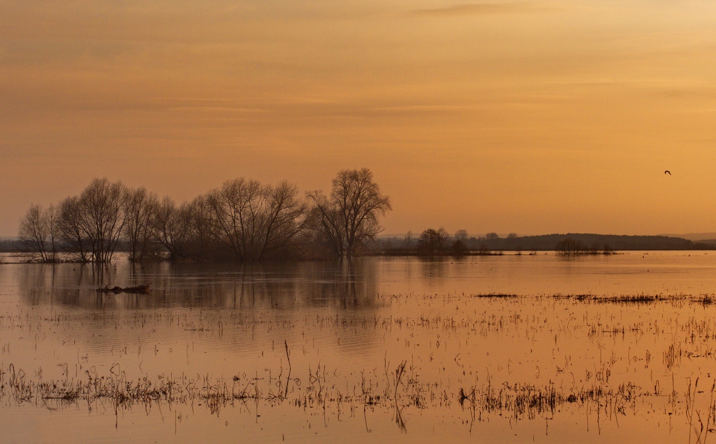 Бронзовый вечер