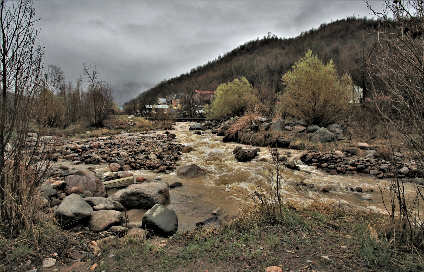 Вешние воды