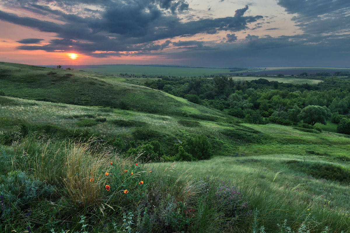 Утро, полпятого