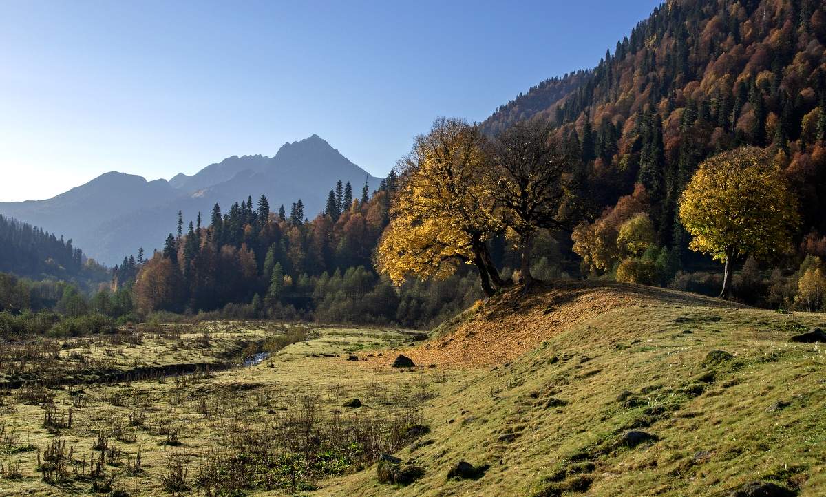 Осеннее утро...