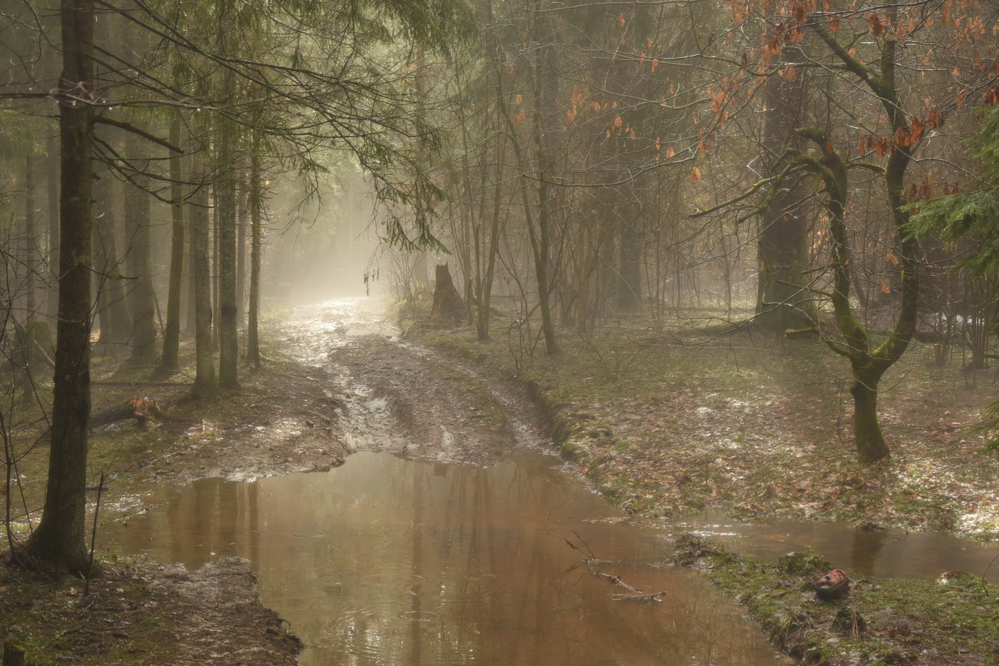 После дождя ...