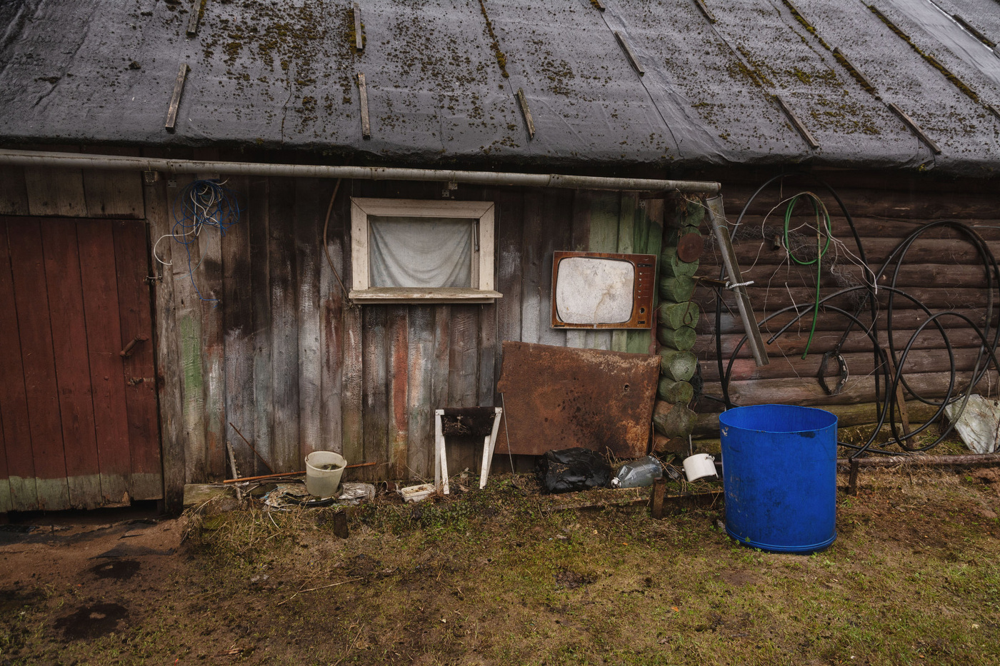 Жизнь вокруг