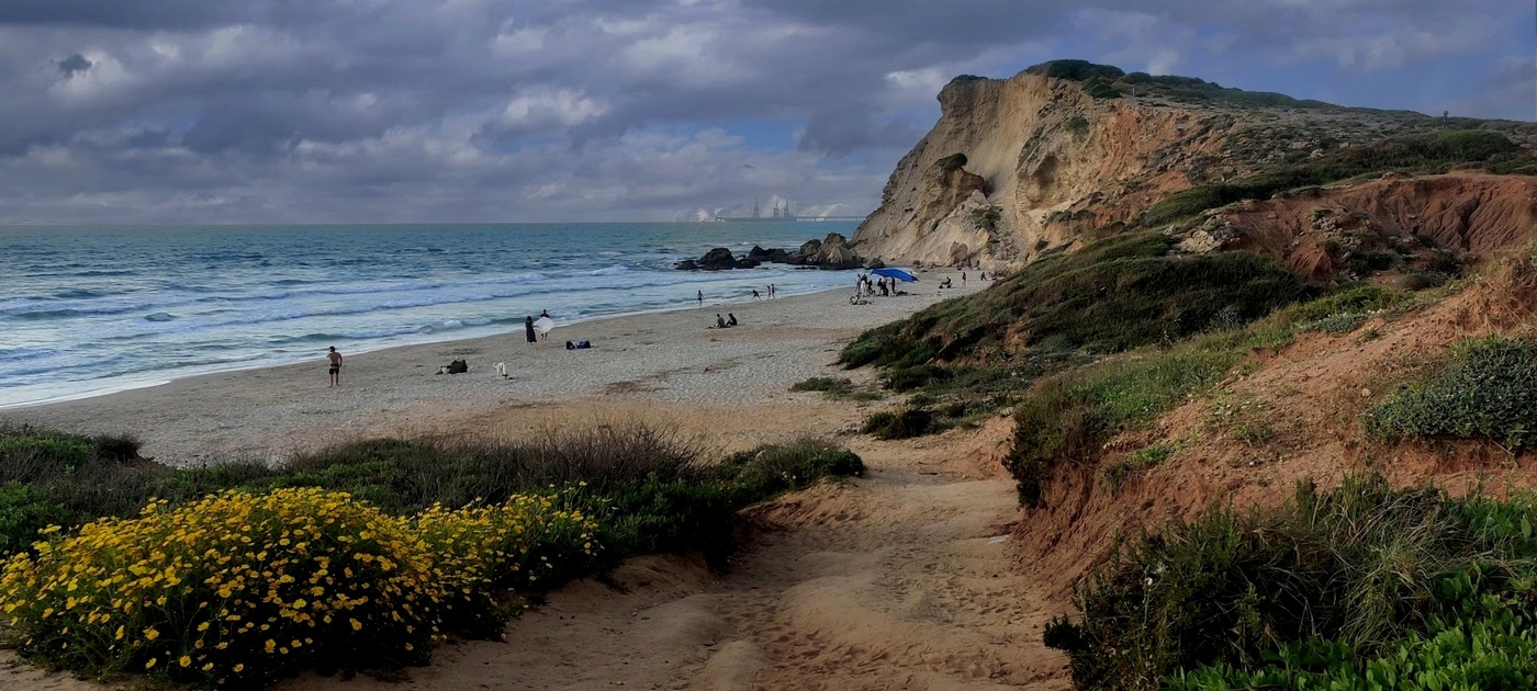 Прогулка к морю