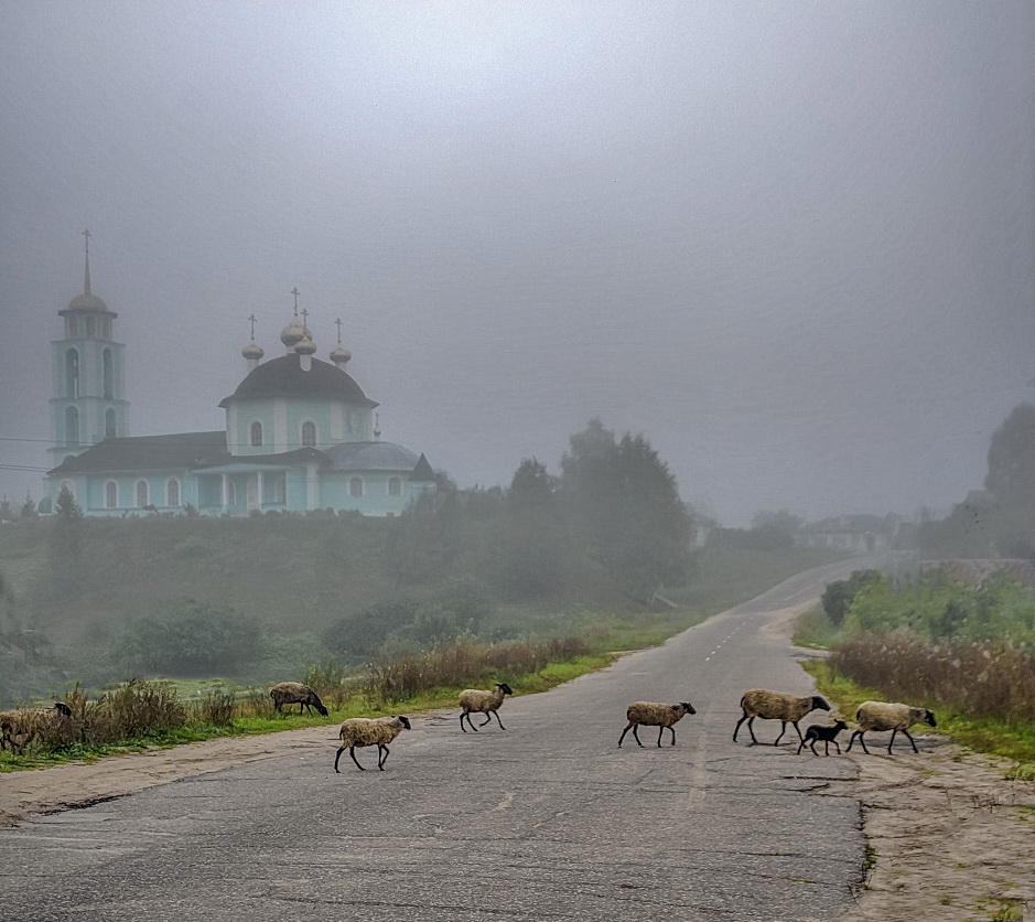 Бродячие в тумане.