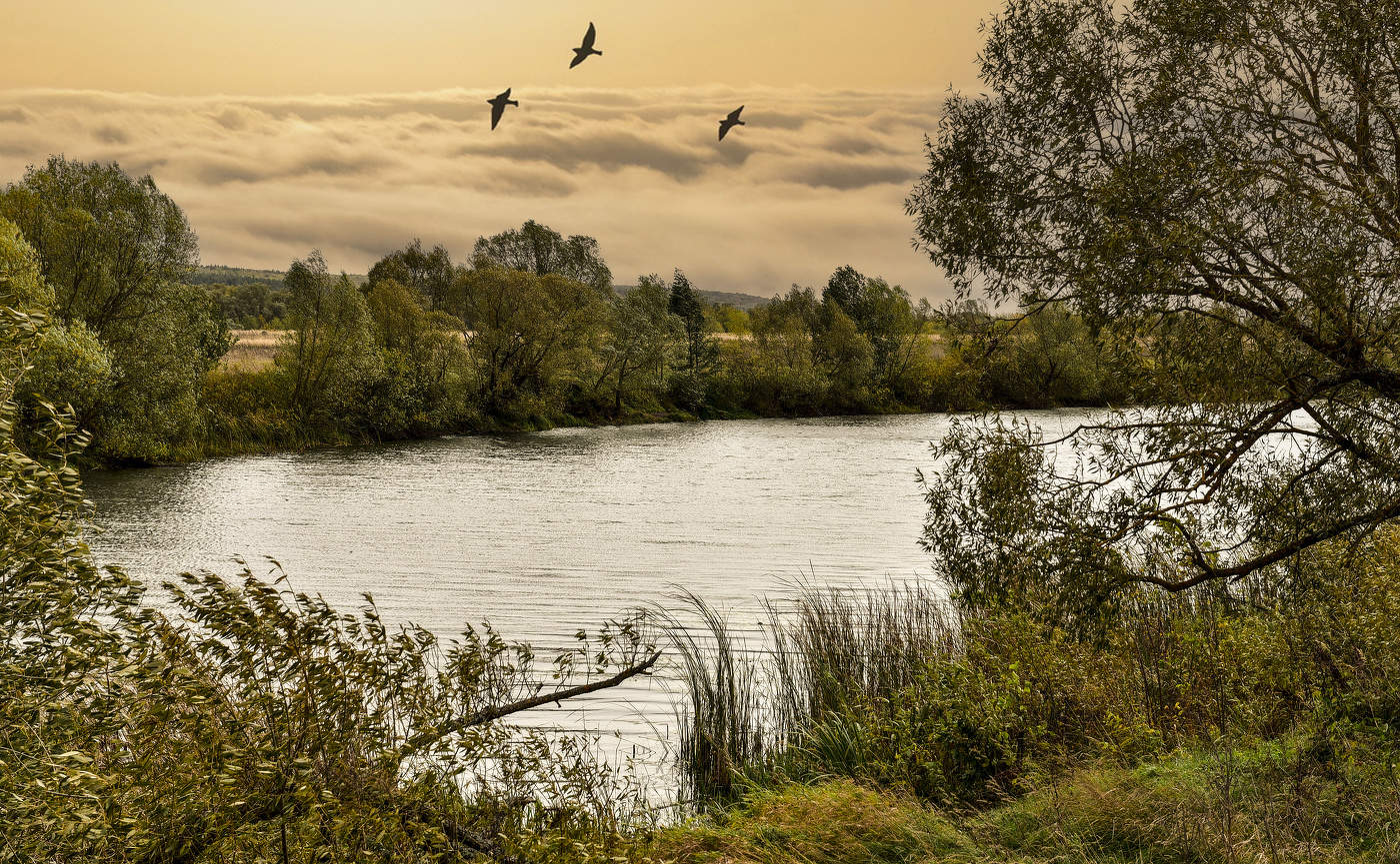 Предвечерний пейзаж.