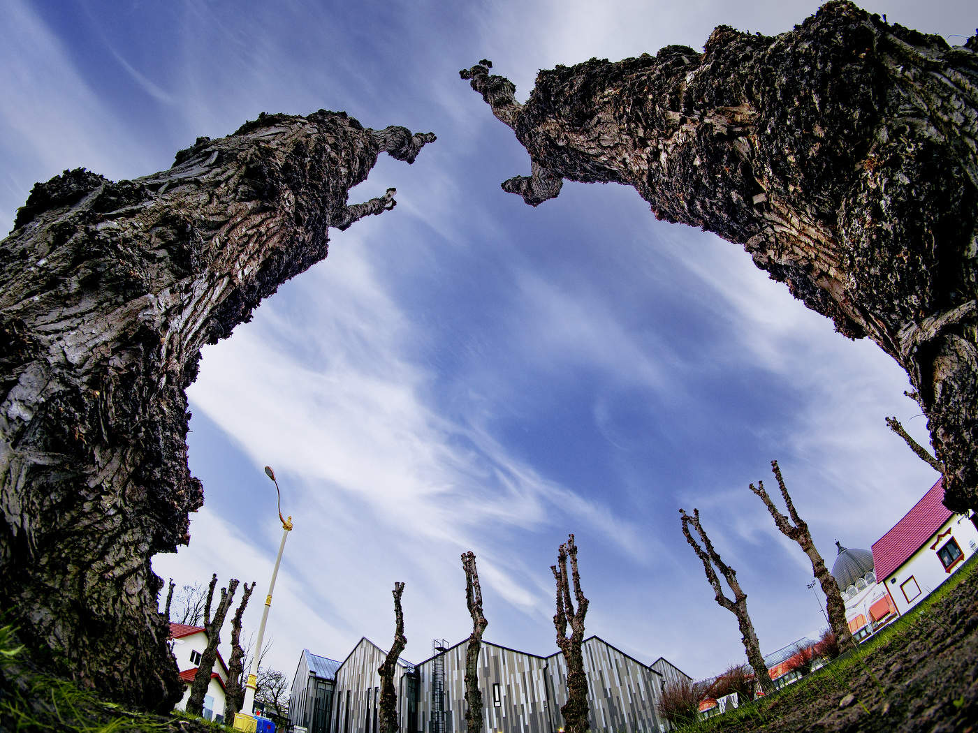 Руки вверх!