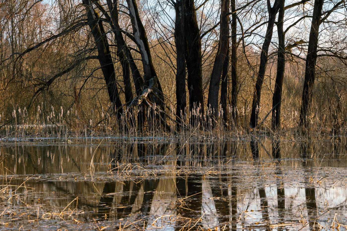 Вешние воды