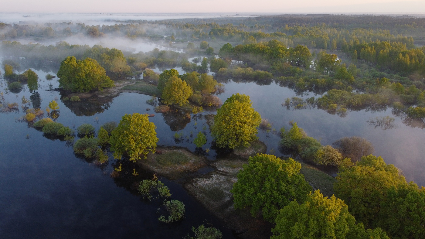 Весеннее утро