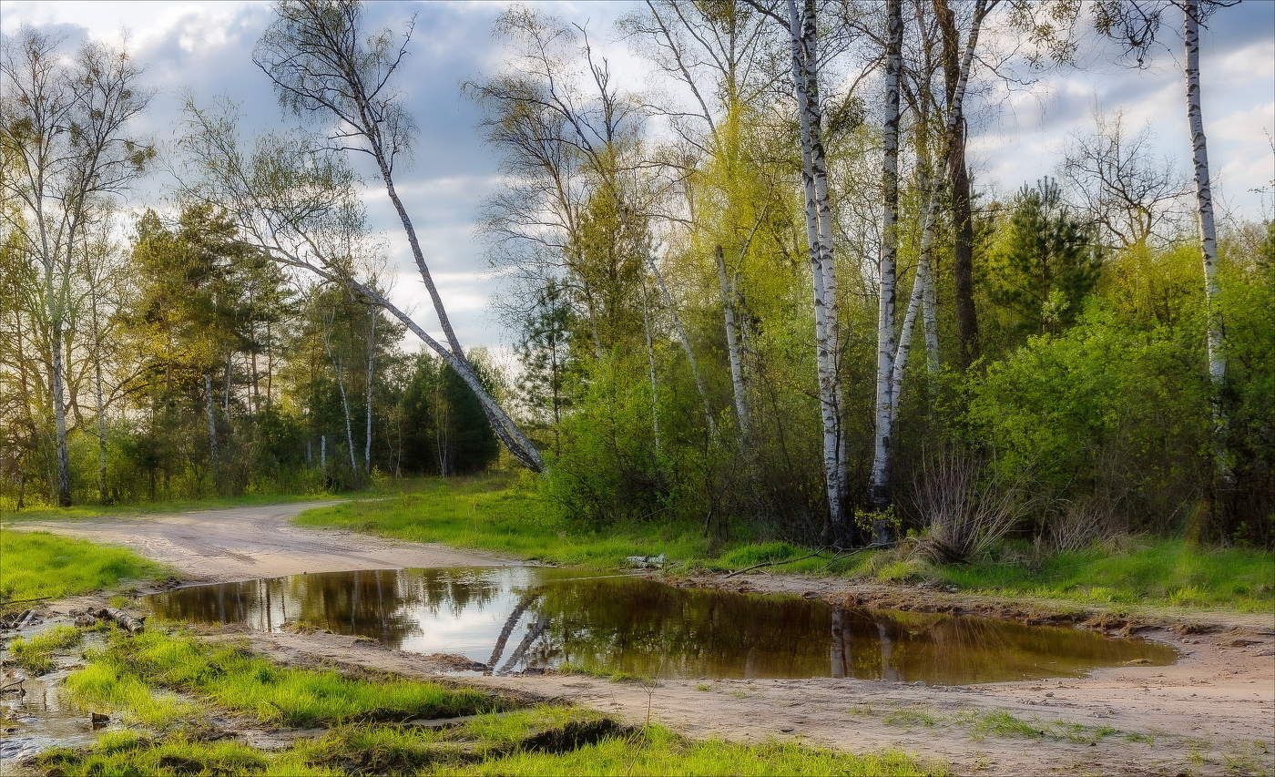 ТАЛЫЕ ВОДЫ ВЕСНЫ