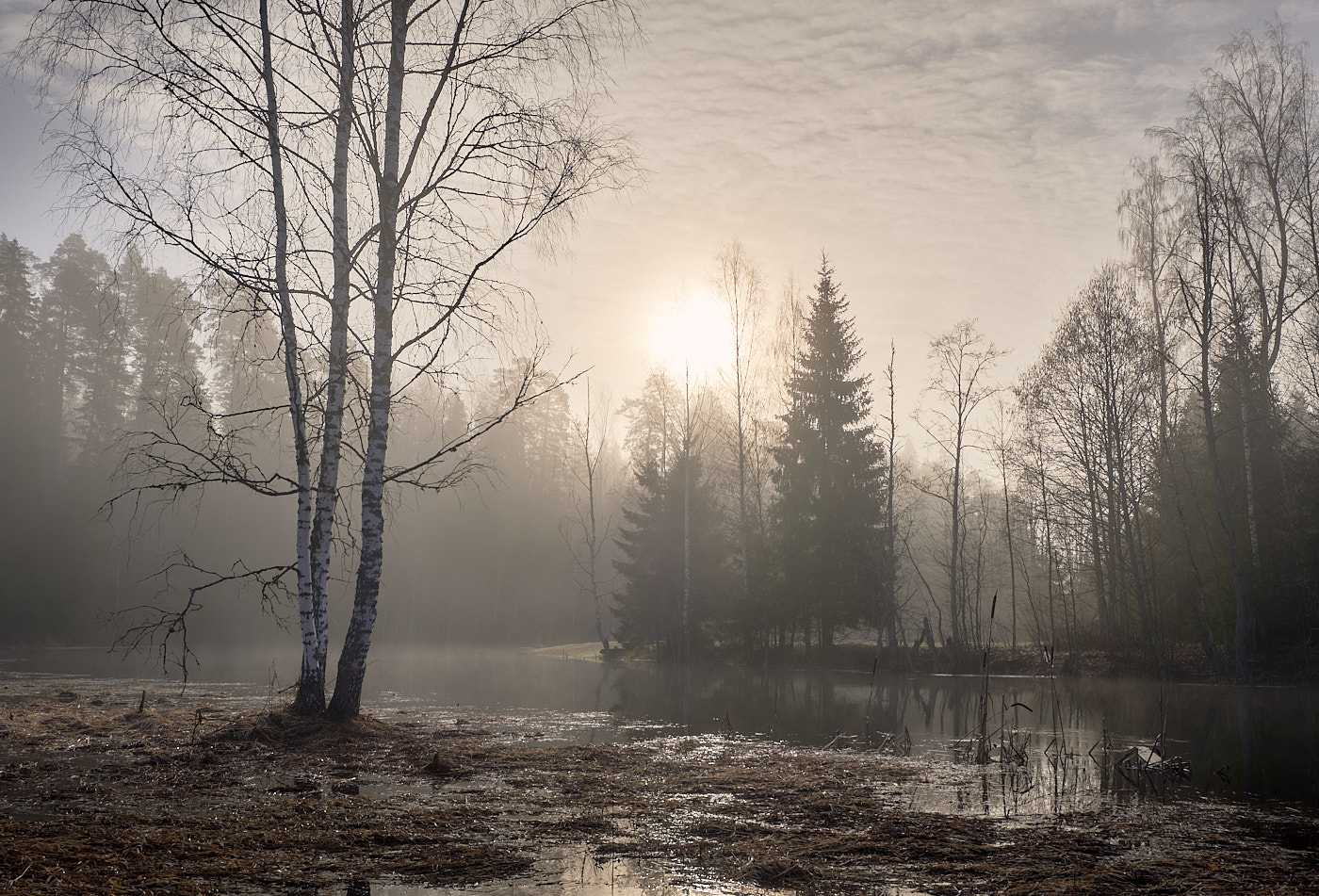 Утро. Туман.