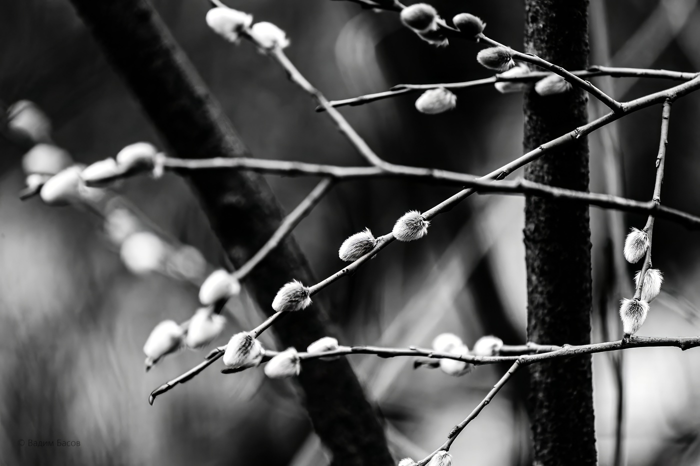 ...про весну...