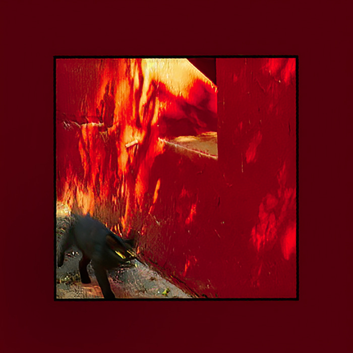 | флешмоб на тему «Красное и чёрное» (№ 11).