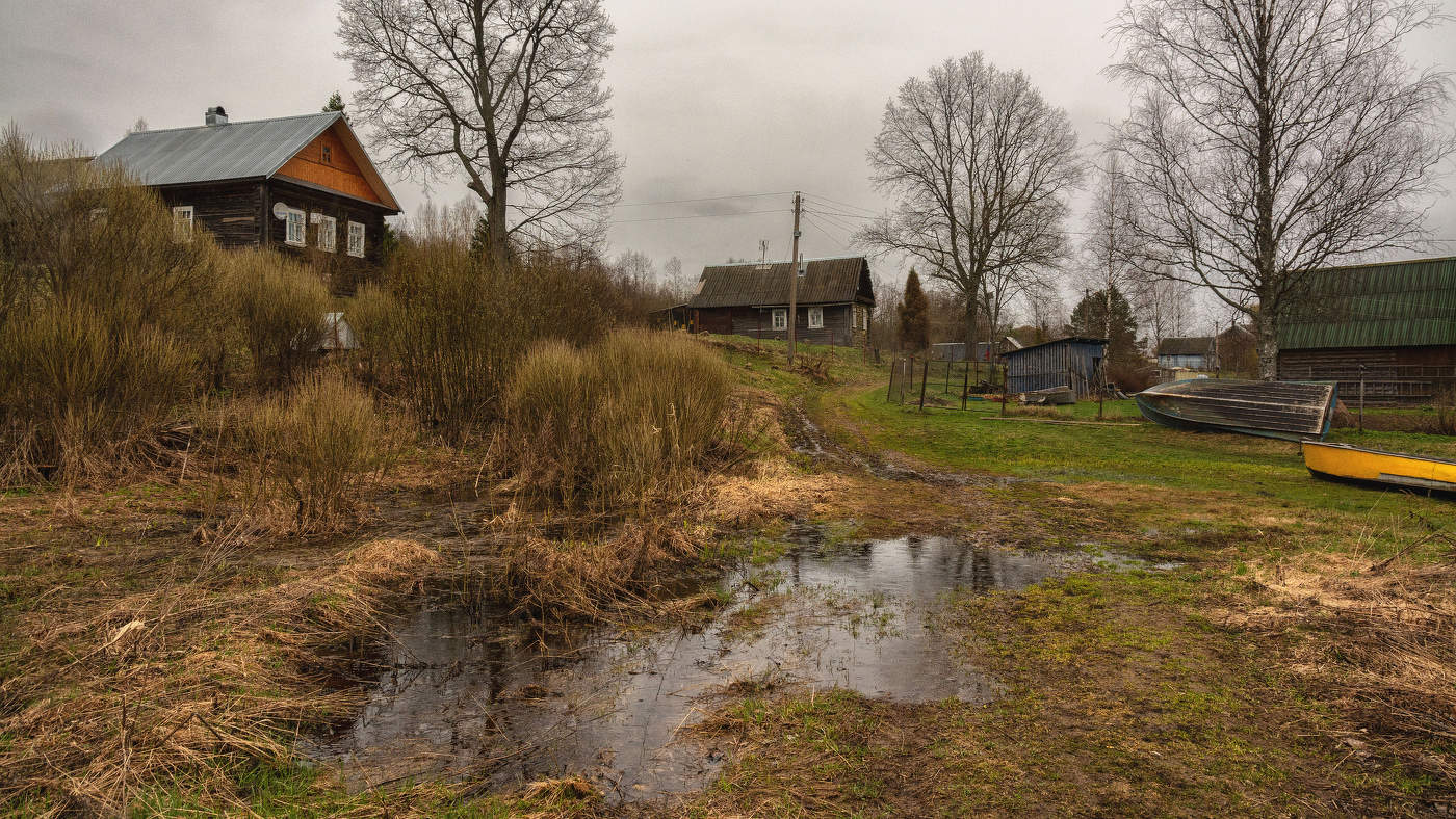 Жизнь вокруг