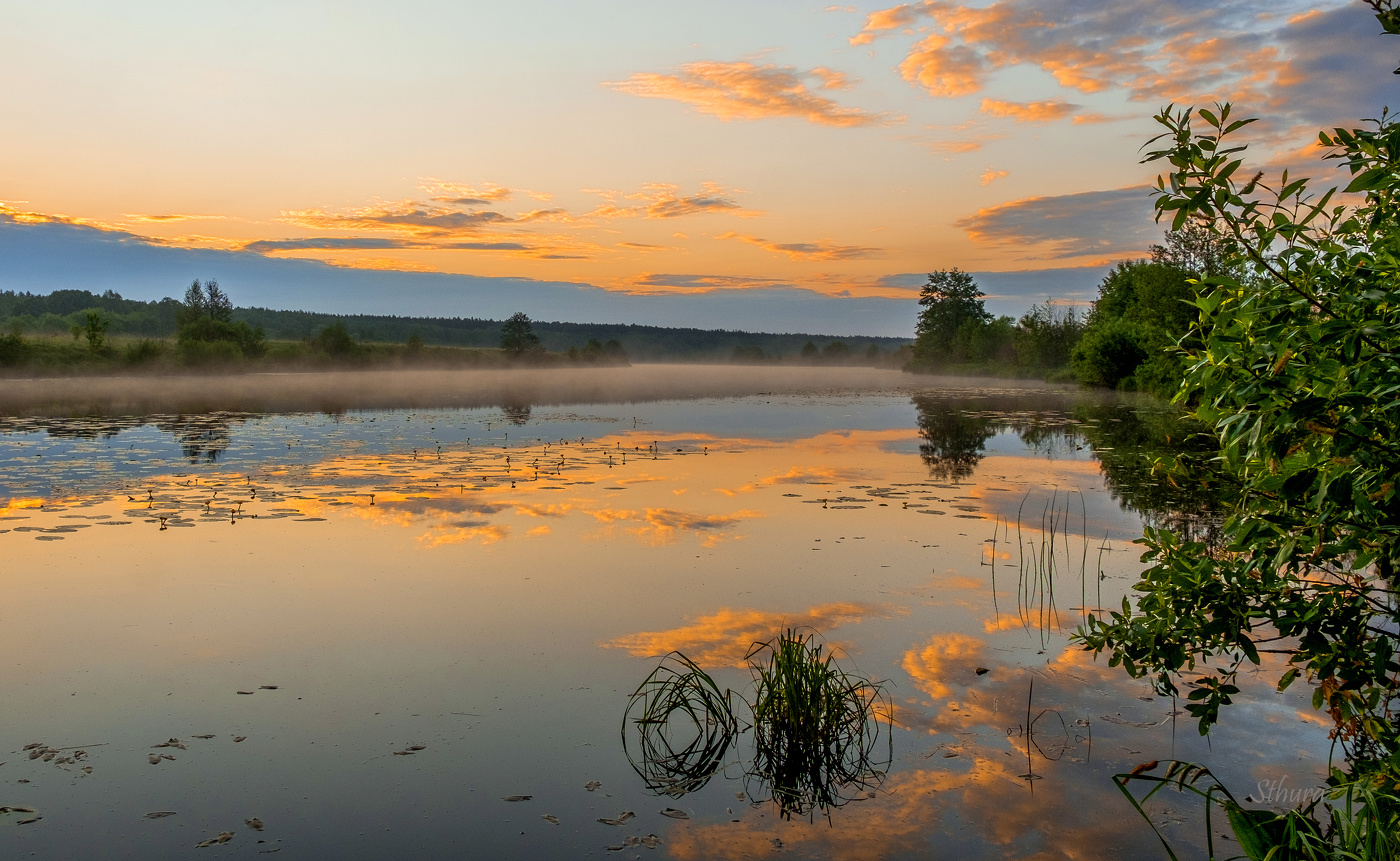 Летним утром.