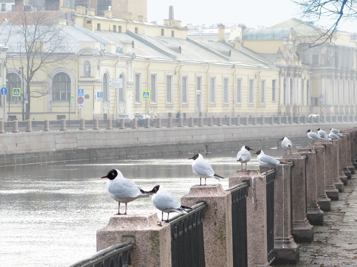Весенний смотр