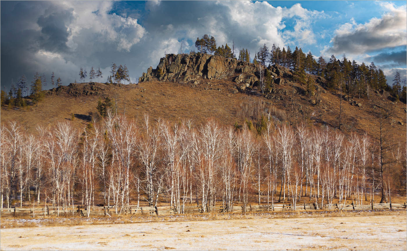 Березовый ранжир