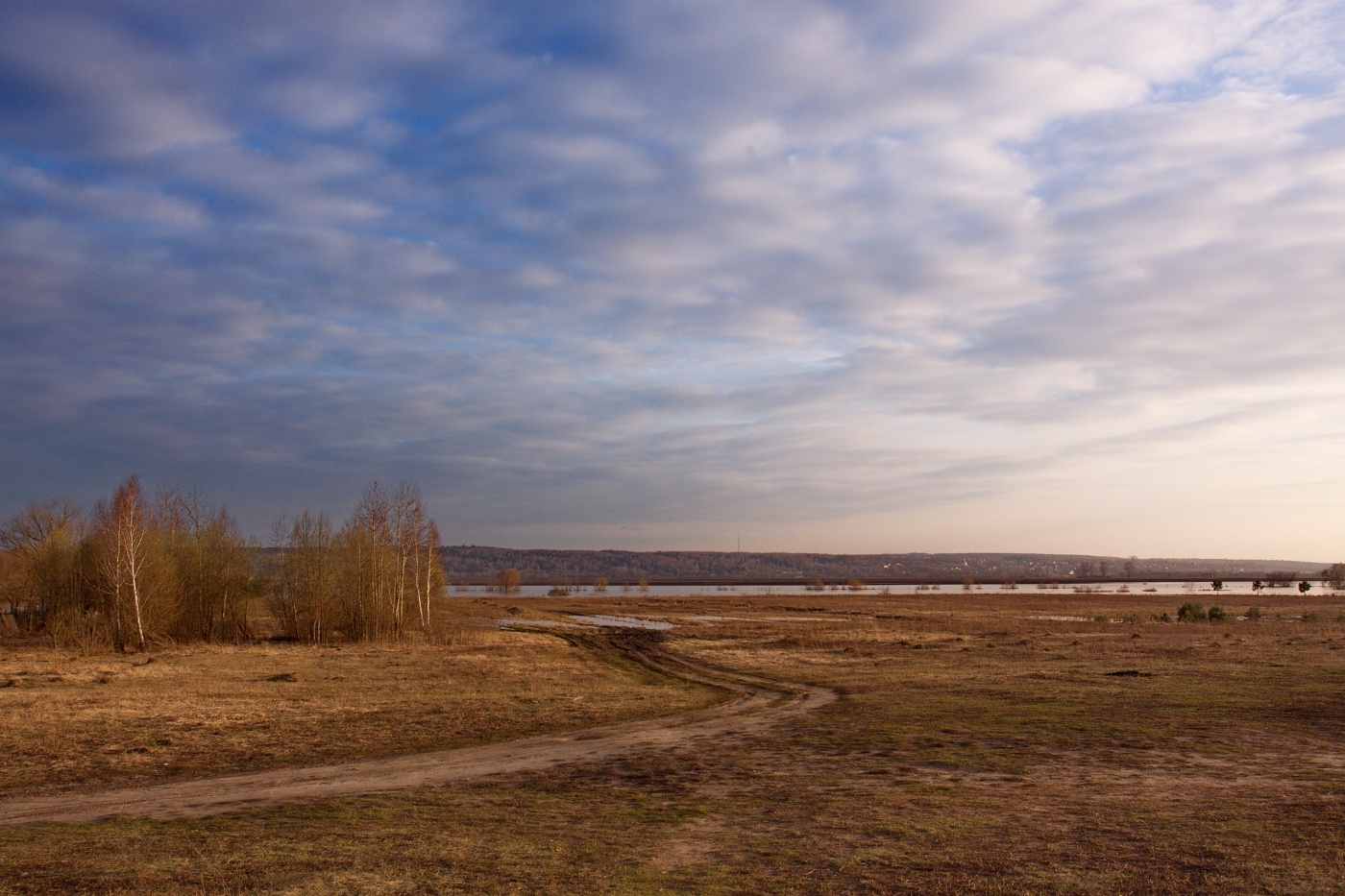 Вечерний пригород