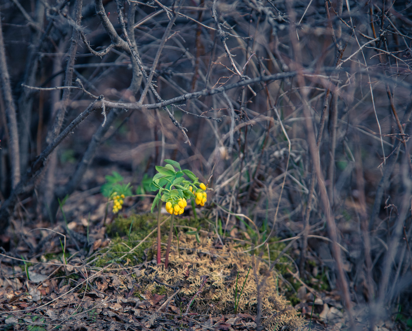 В укромном месте