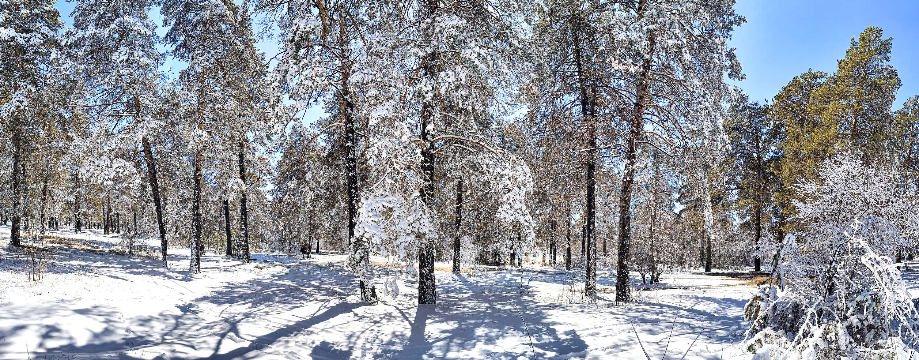 Весна пришла!