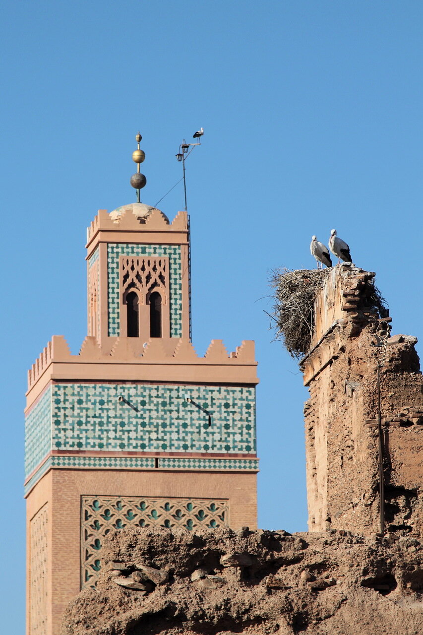 Контрасты Марракеша