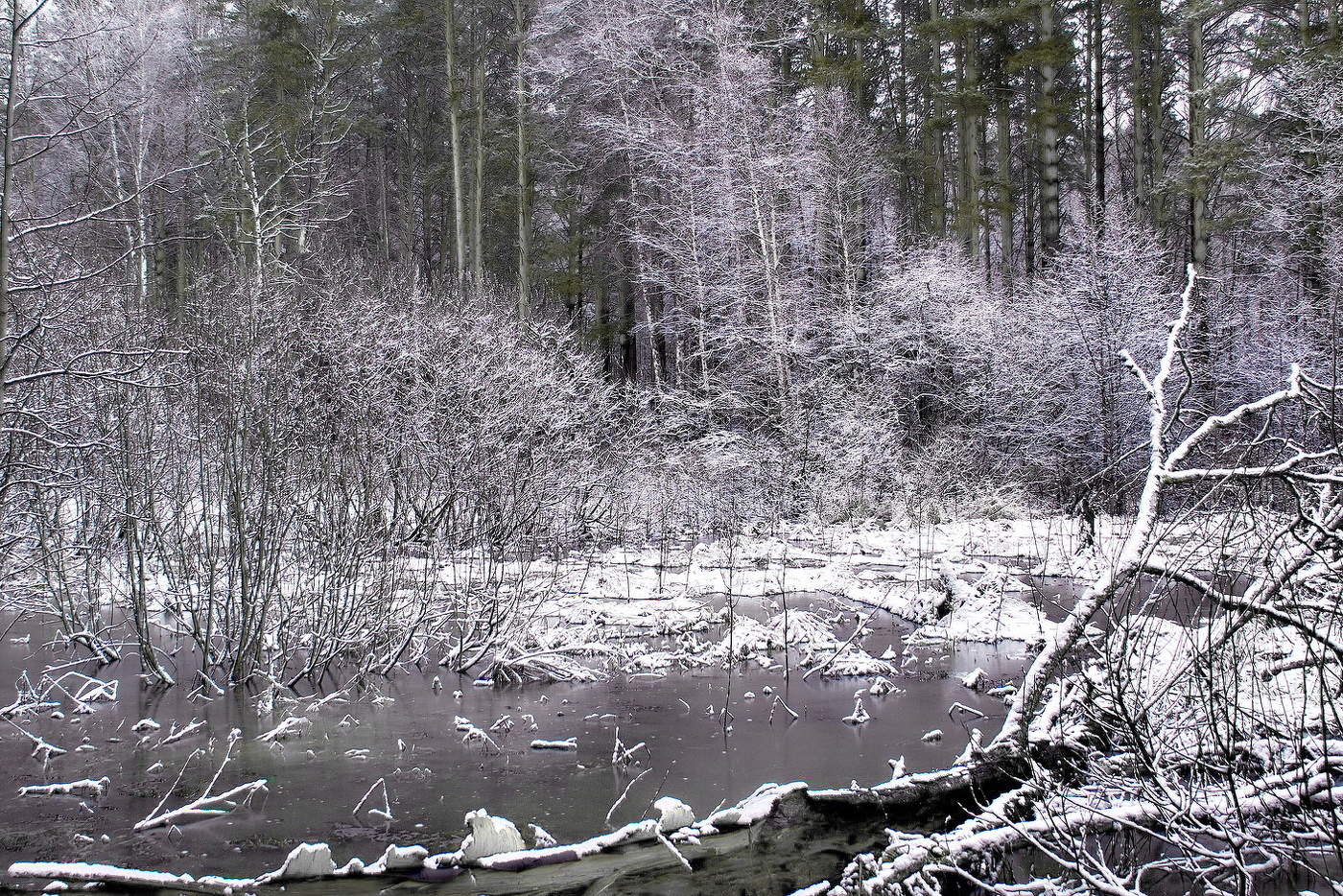 **Апрельским днём.*