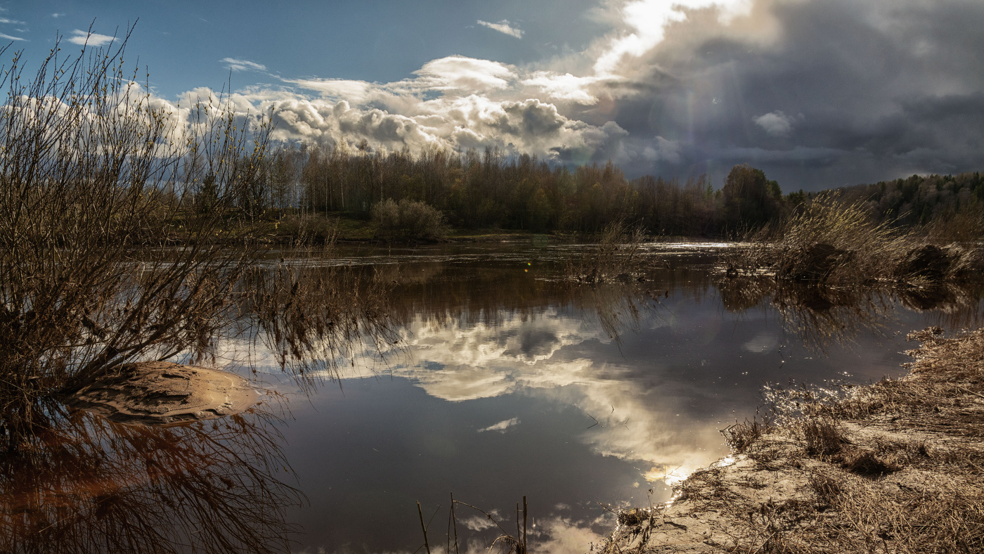 Жизнь вокруг