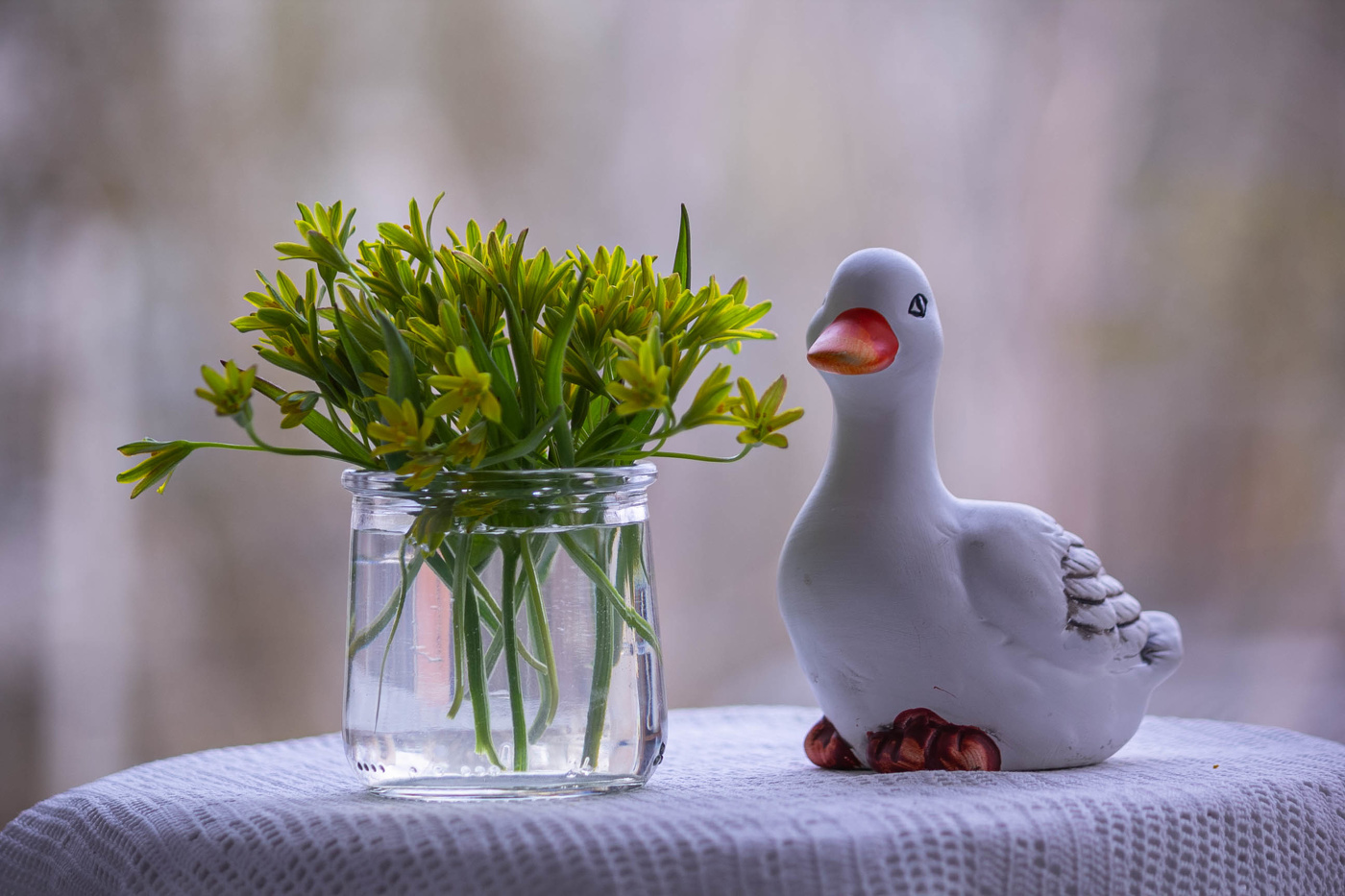 Гусиный лук