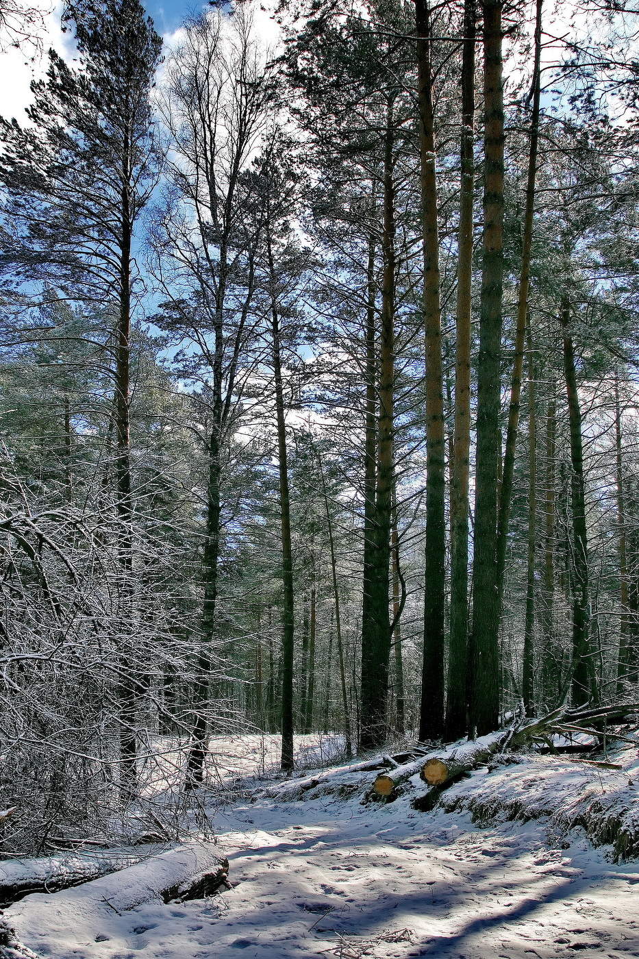 **Весенние заморозки.*