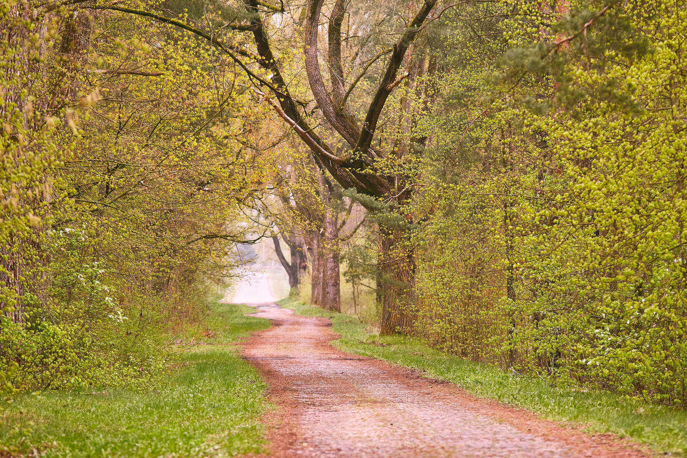 Забытый старый тракт