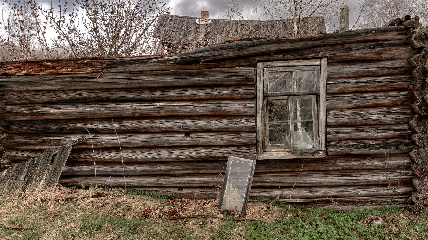 Жизнь вокруг