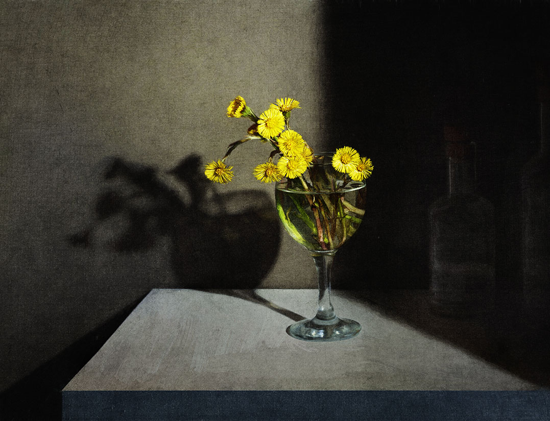 свет и тень