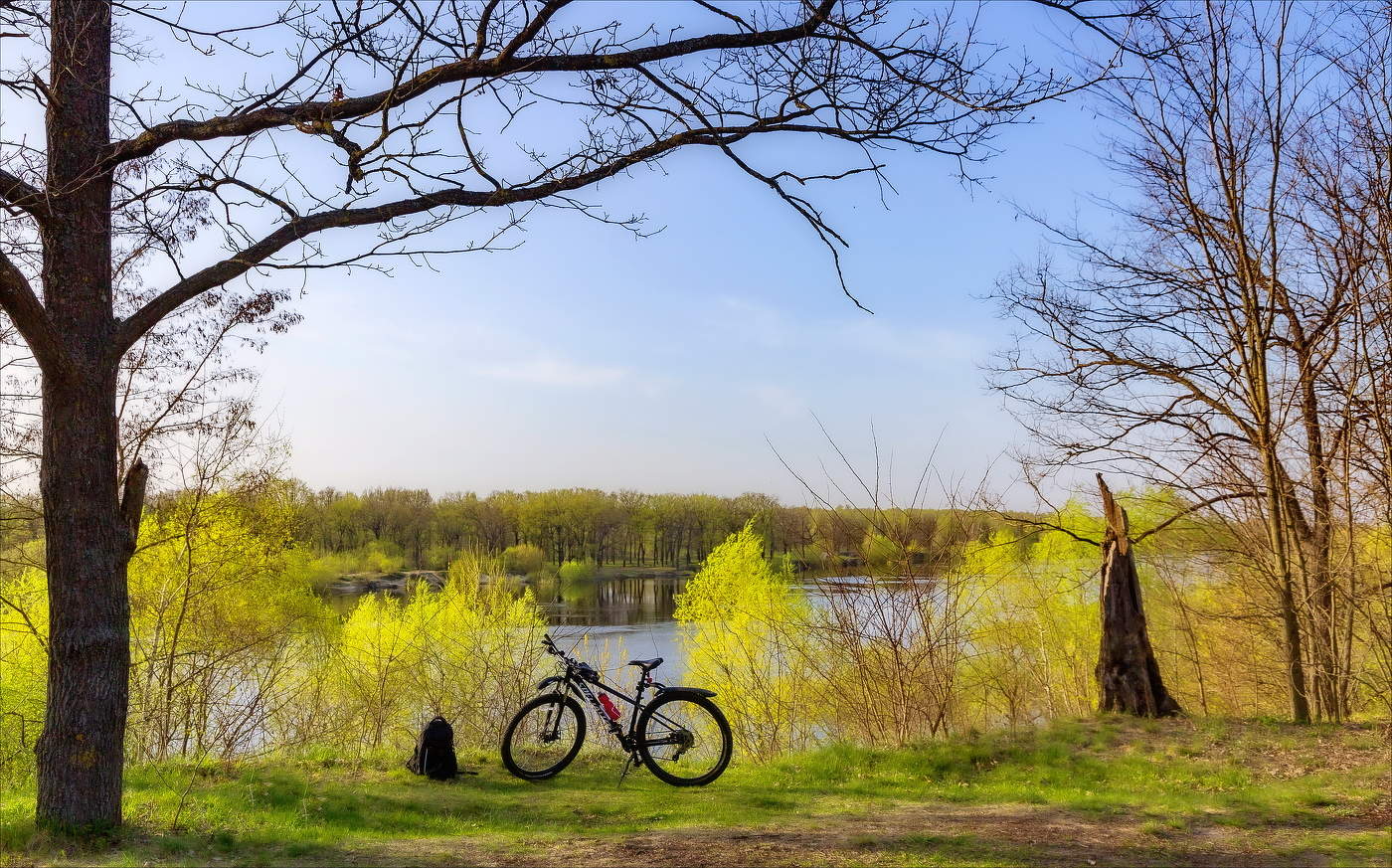 ВЕСНА ПОЕТ,ВЕСНА ЗОВЕТ...