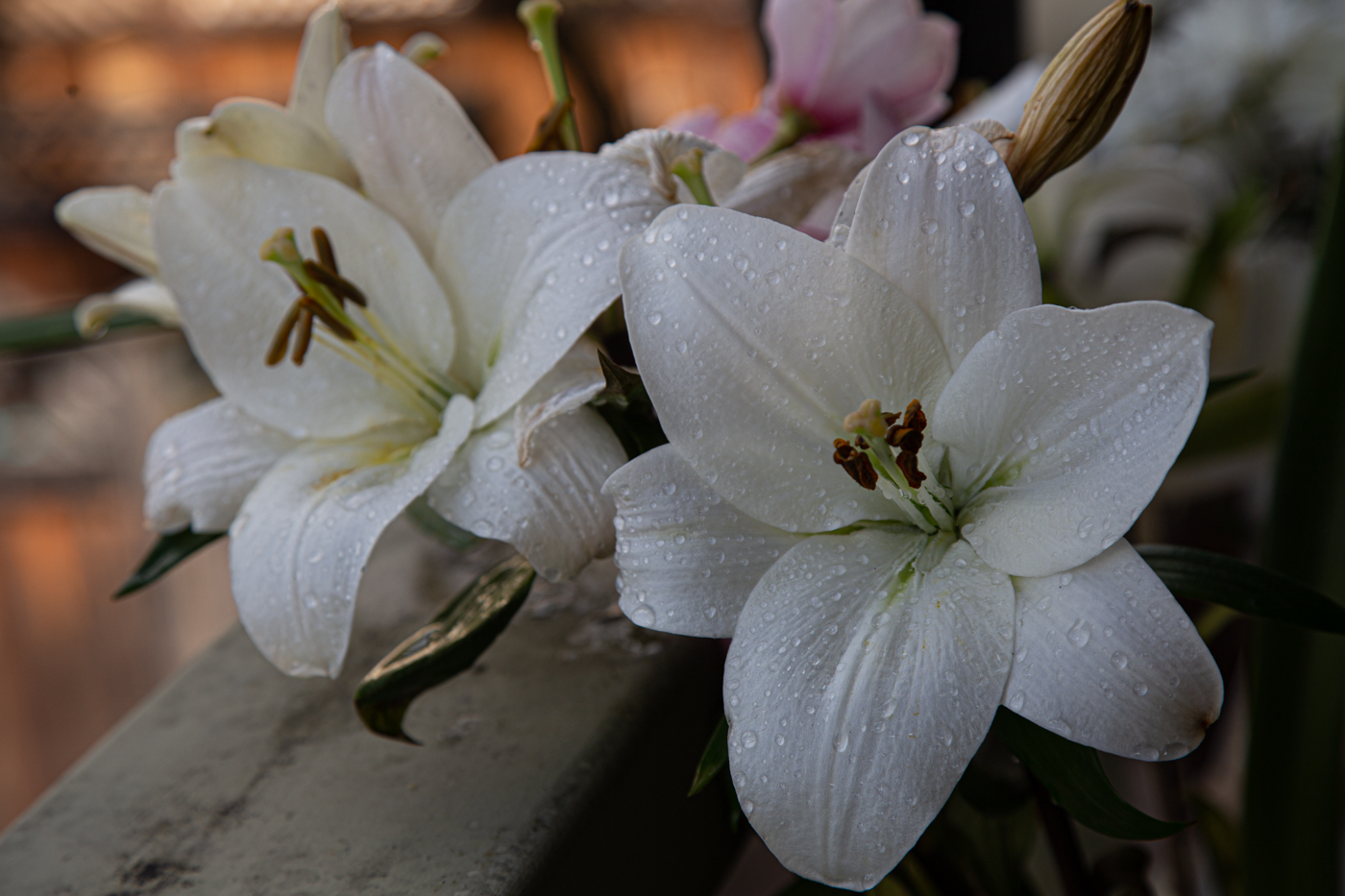 После дождя