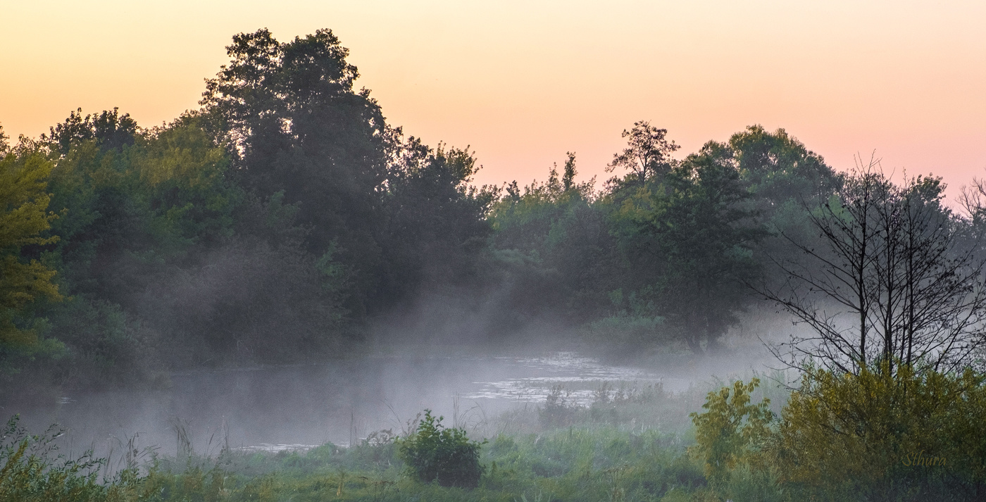 Туман на озере.
