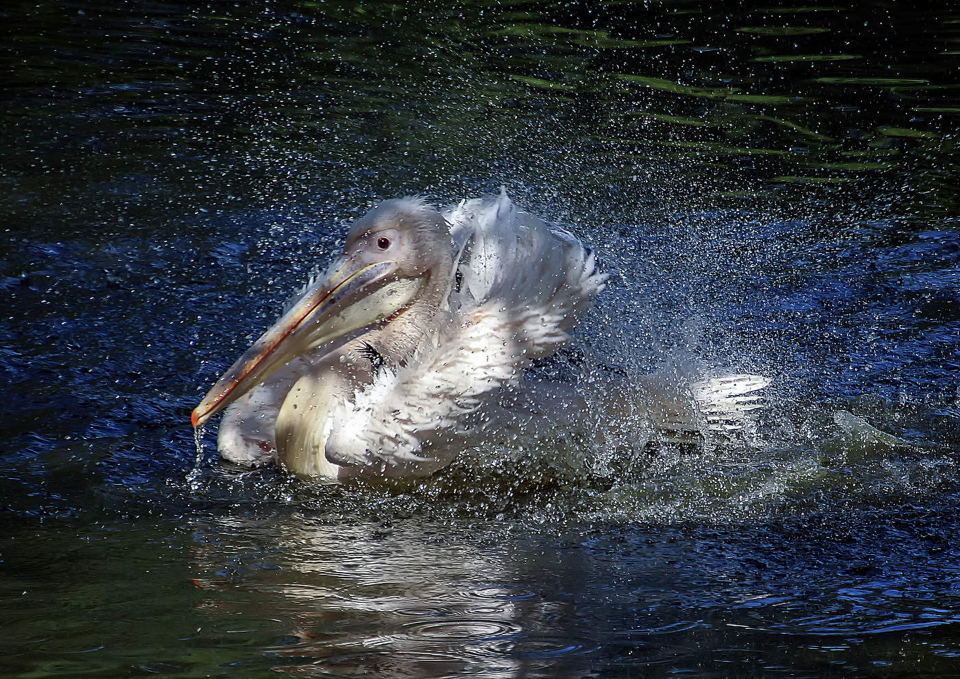 В солнечных бликах