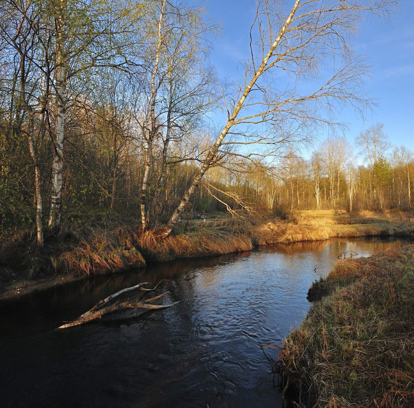 Вешние воды.